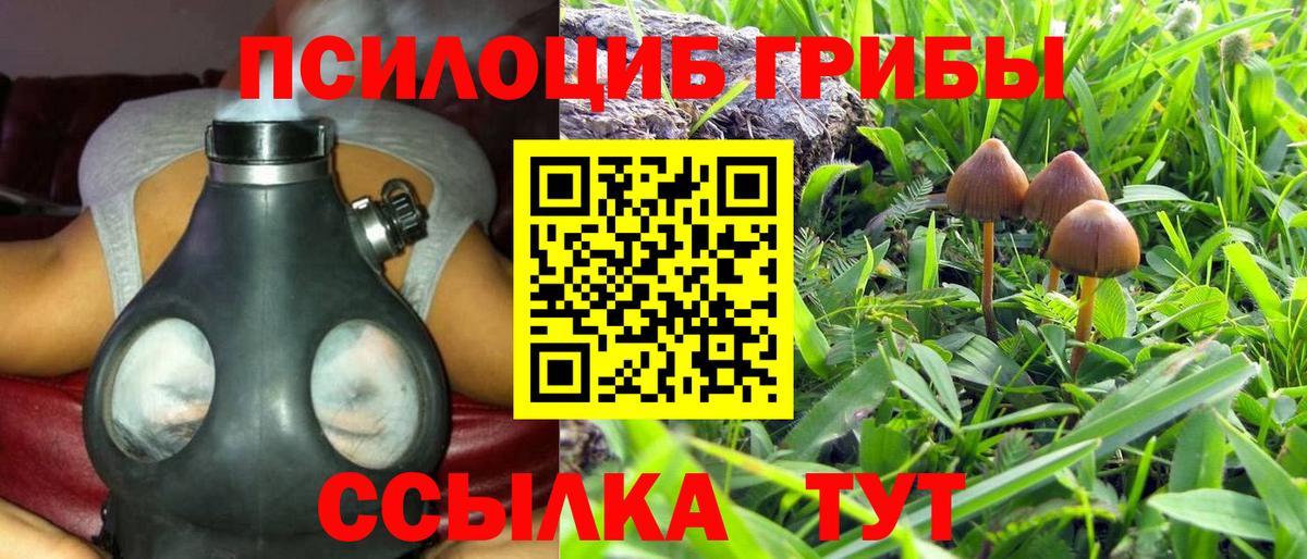 где продают   Вход с VPN  Павлово  Галлюциногенные грибы Cubensis  Галлюциногенные грибы Psilocybine cubensis 